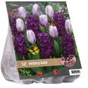 Baltus Urban Flowers Purple rain bloembollen per 12 stuks